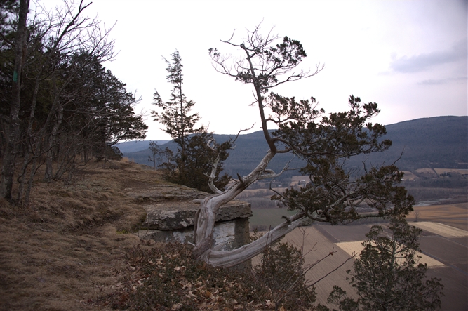 Scenic Photos